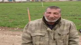 Koyun otlatırken hayatını kaybetti