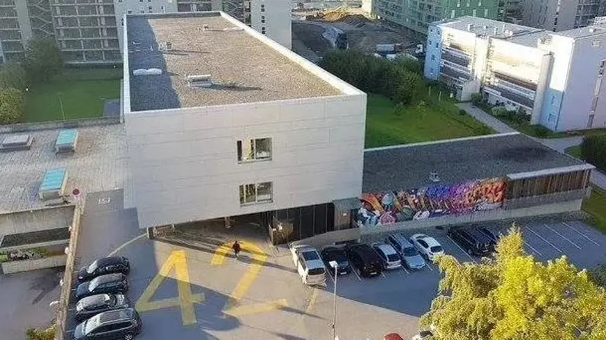 Avusturya’da okula saldırı