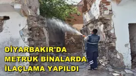 Diyarbakır'da metruk binalarda ilaçlama yapıldı