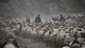 Göçerlerin yolculuğu başladı