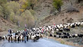Yabancı çobanlar için çalışma izni başvuruları alınmaya başlandı