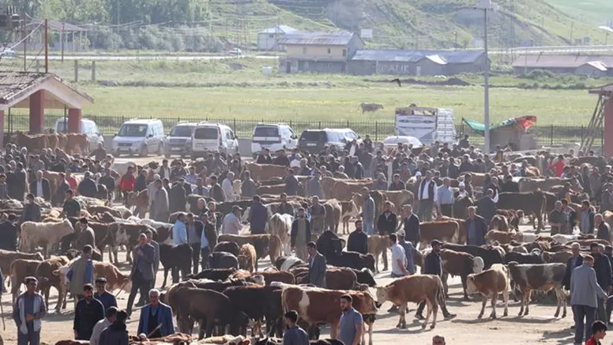Kurban Bayramı’nda kesilen kurbanlıkların bilançosu