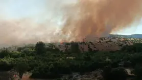 Diyarbakır'da örtü yangını