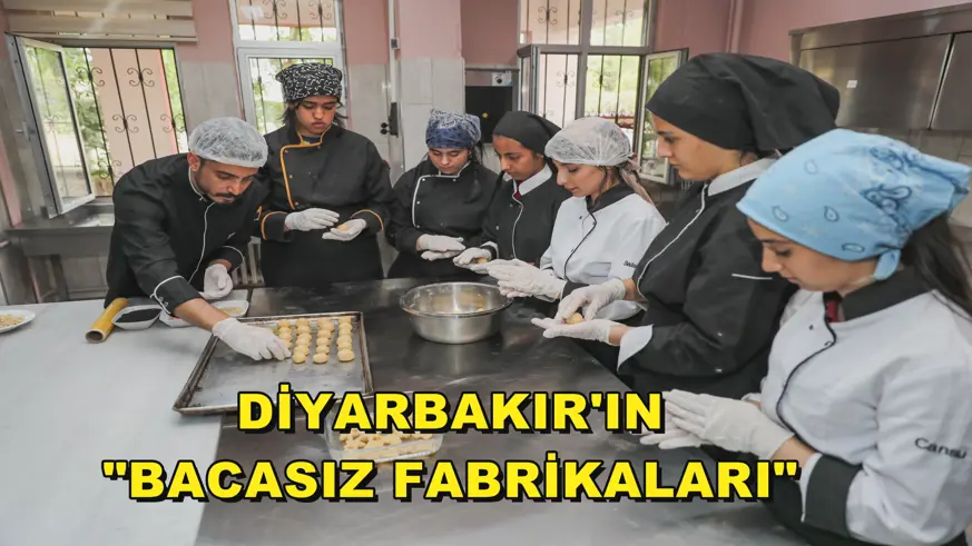  Diyarbakır'ın 