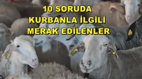 10 soruda kurbanla ilgili merak edilenler