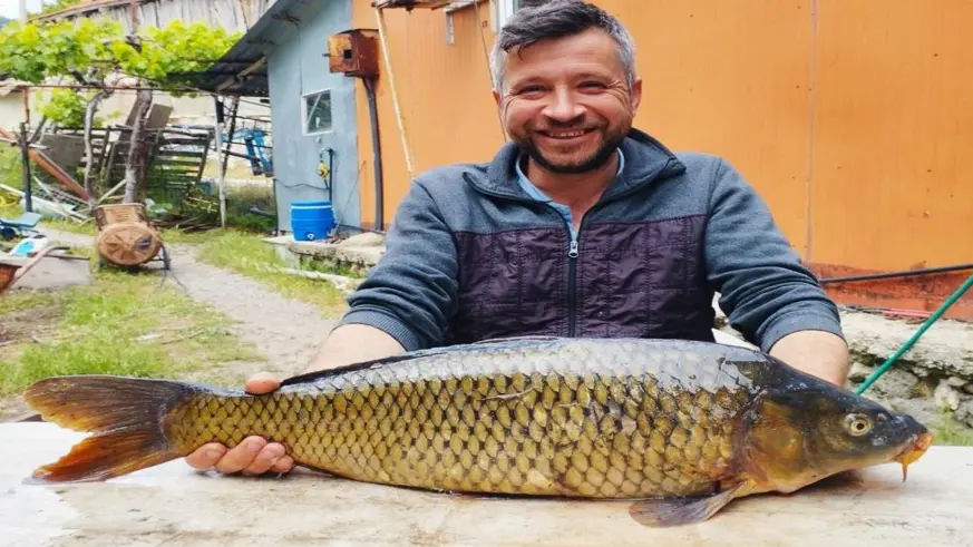 Tarlada 7 kiloluk sazan yakaladı