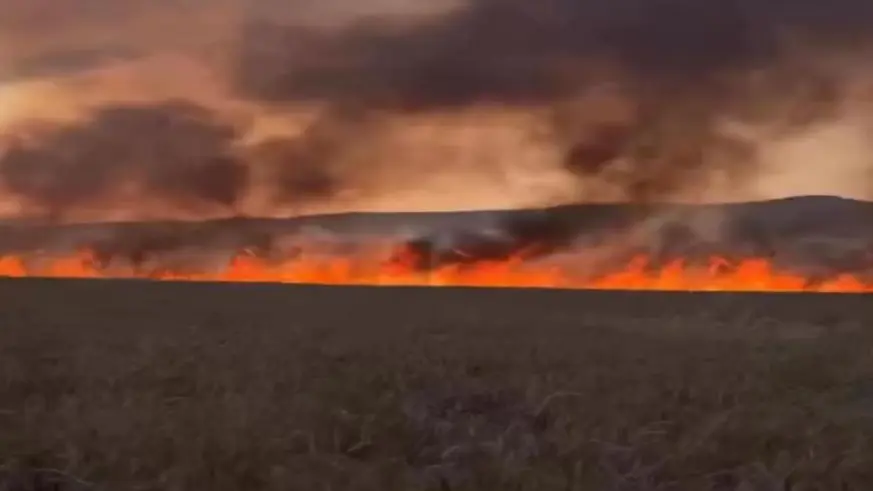 Diyarbakır’da buğday tarlasında anız yangın
