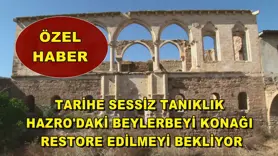 Tarihe sessiz tanıklık: Hazro'daki beylerbeyi konağı restore edilmeyi bekliyor