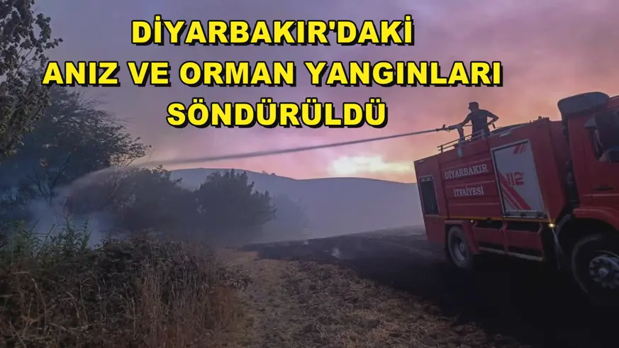 Diyarbakır'daki anız ve orman yangınları söndürüldü