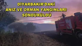 Diyarbakır'daki anız ve orman yangınları söndürüldü