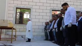 Kene ısırması can almaya devam ediyor
