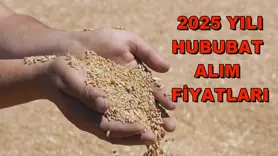 2025 yılı hububat alım fiyatları