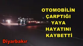 Otomobilin çarptığı yaya hayatını kaybetti