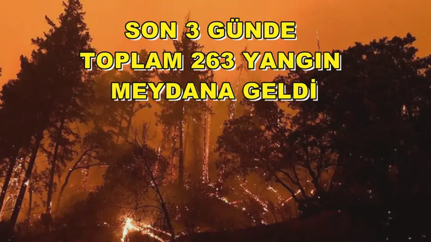 Son 3 günde toplam 263 yangın meydana geldi