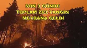 Son 3 günde toplam 263 yangın meydana geldi