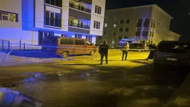 Annesiyle babasını sokak ortasında bıçakladı