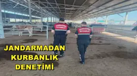 JANDARMADAN KURBANLIK DENETİMİ