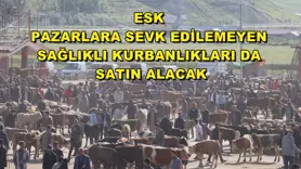 ESK pazarlara sevk edilemeyen sağlıklı kurbanlıkları da satın alacak