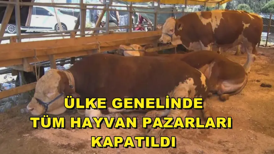 Ülke genelinde tüm hayvan pazarları kapatıldı