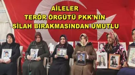 Aileler terör örgütü PKK'nın silah bırakmasından umutlu