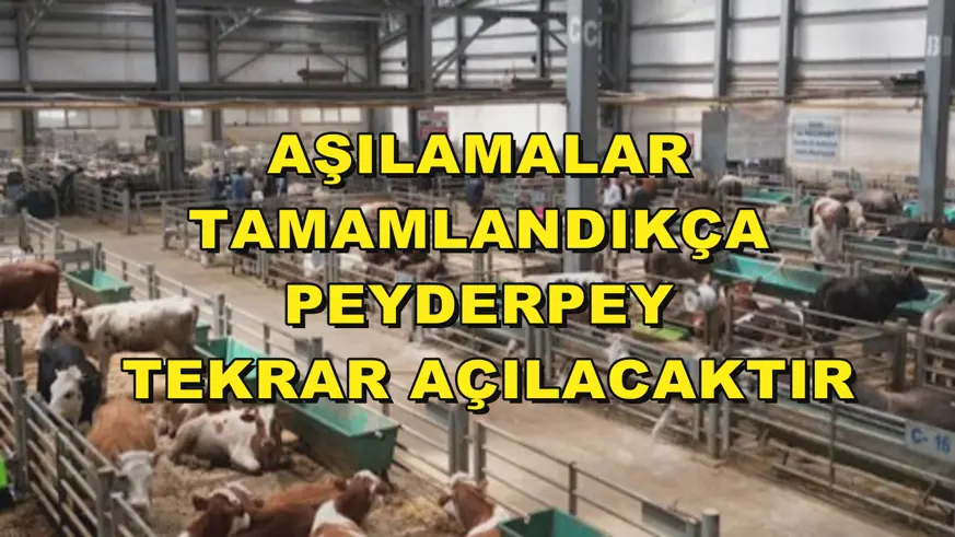 Aşılamalar tamamlandıkça peyderpey tekrar açılacaktır