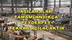Aşılamalar tamamlandıkça peyderpey tekrar açılacaktır