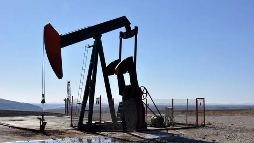 TPAO'nun Diyarbakır'daki petrol arama ruhsatı uzatıldı