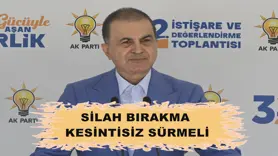 Silah bırakma kesintisiz sürmeli
