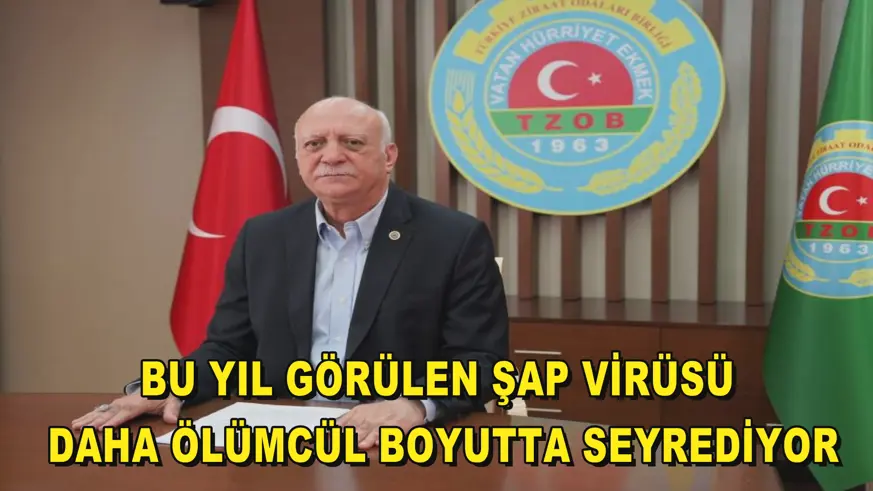 Bu yıl görülen şap virüsü daha ölümcül boyutta seyrediyor