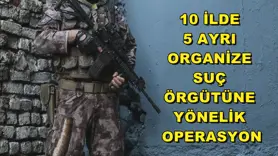 10 ilde 5 ayrı organize suç örgütüne yönelik operasyon