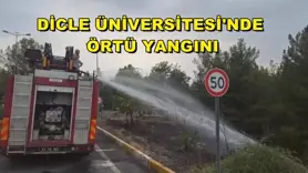 Dicle Üniversitesi'nde örtü yangını