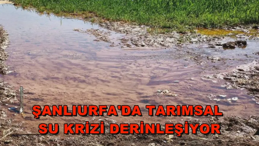 Şanlıurfa'da tarımsal su krizi derinleşiyor