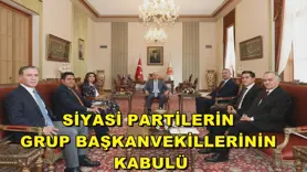 Siyasi partilerin grup başkanvekillerinin kabulü