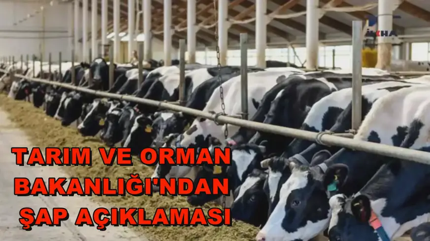 Tarım ve Orman Bakanlığı'ndan şap açıklaması