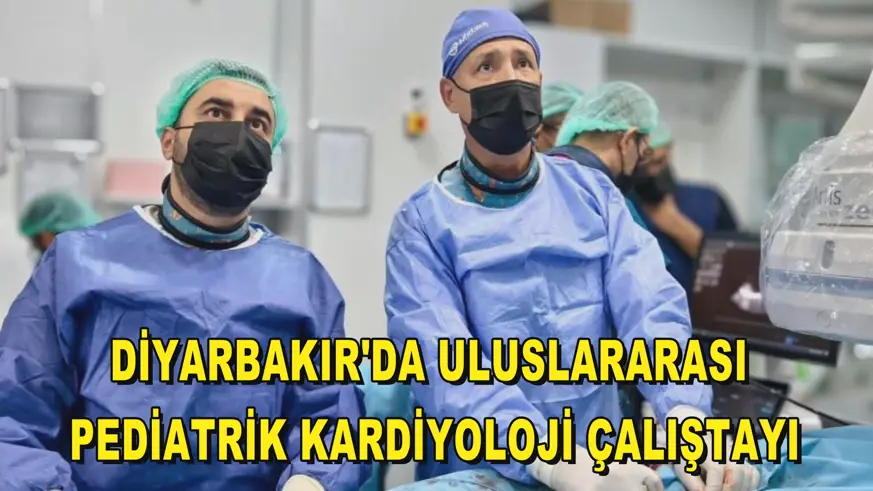 Diyarbakır'da Uluslararası Pediatrik Kardiyoloji Çalıştayı