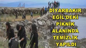 Diyarbakır Eğil'deki piknik alanında temizlik yapıldı