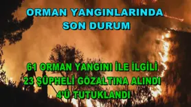 Orman yangınlarındaki son bilanço