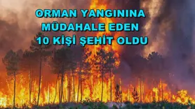 Orman yangınına müdahale eden 10 kişi şehit oldu