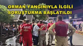Orman yangınıyla ilgili soruşturma başlatıldı