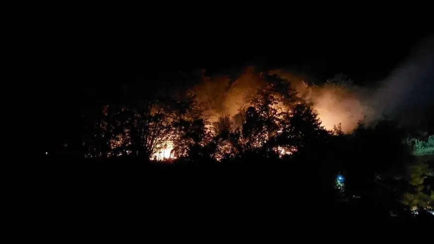 Sakarya'daki yangınla ilgili 1 kişi tutuklandı