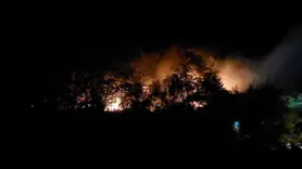 Sakarya'daki yangınla ilgili 1 kişi tutuklandı