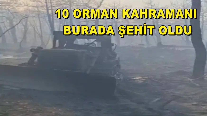 10 orman kahramanı burada şehit oldu