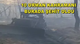 10 orman kahramanı burada şehit oldu