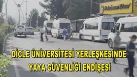 Dicle Üniversitesi yerleşkesinde yaya güvenliği endişesi