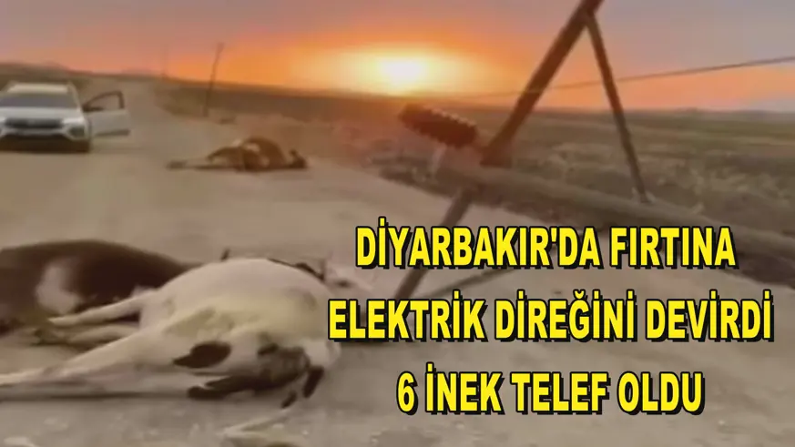 Diyarbakır'da fırtına elektrik direğini devirdi