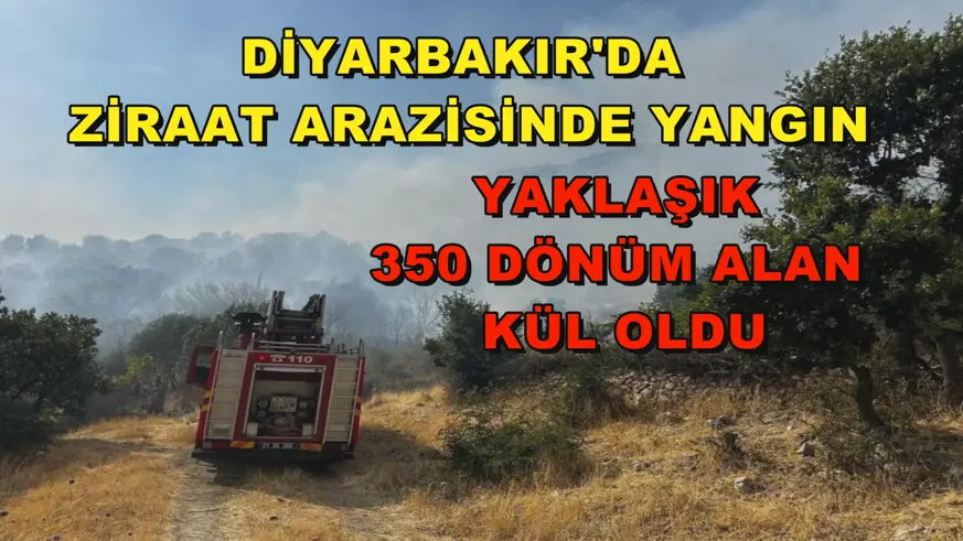 Diyarbakır'da ziraat arazisinde yangın