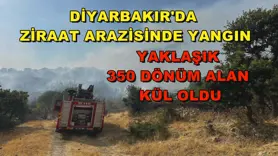 Diyarbakır'da ziraat arazisinde yangın