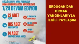 Erdoğan’dan orman yangınlarıyla ilgili paylaşım