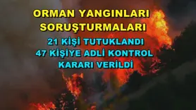 Orman yangınları soruşturmaları