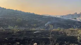 Merada başlayan yangın ormanlık alana yayıldı